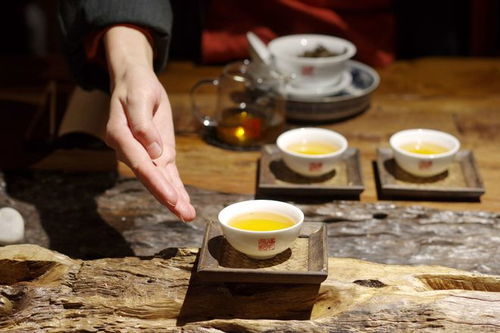 智匯芽協(xié)助福元昌普洱茶運營抖音賬號,確定合作關系