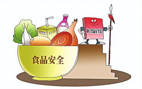 攤主因13元收入被罰3萬元引爭議，法院判決揭示市場治理與法律公正